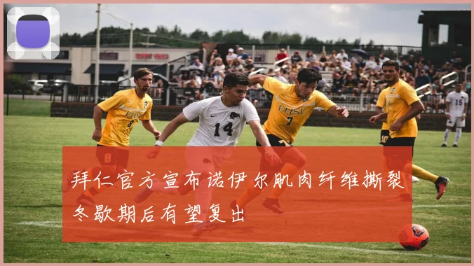 拜仁官方宣布诺伊尔肌肉纤维撕裂冬歇期后有望复出