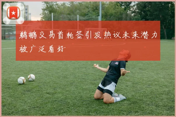 鹈鹕交易首轮签引发热议未来潜力被广泛看好